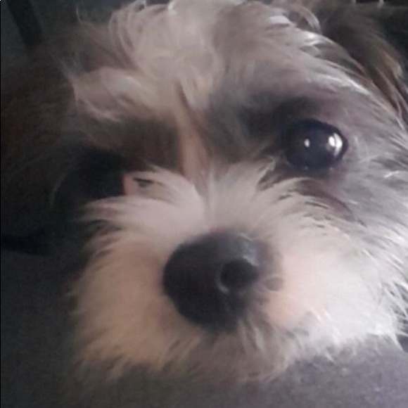 Meet your Posher, Christine - Picture 1 of 1